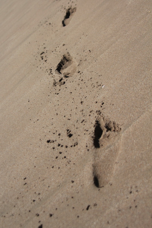 Orme sulla sabbia